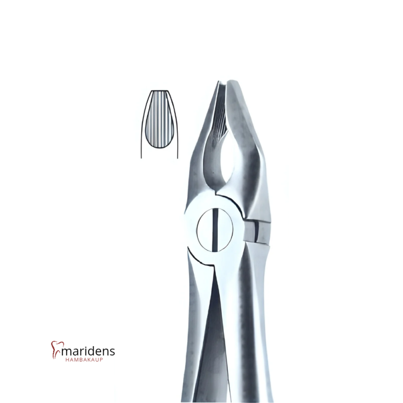 Hambatangid EAP-34M