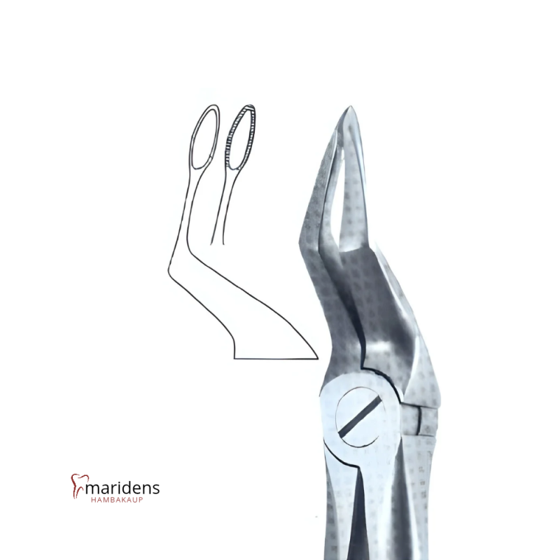 Hambatangid EFA - 51Z